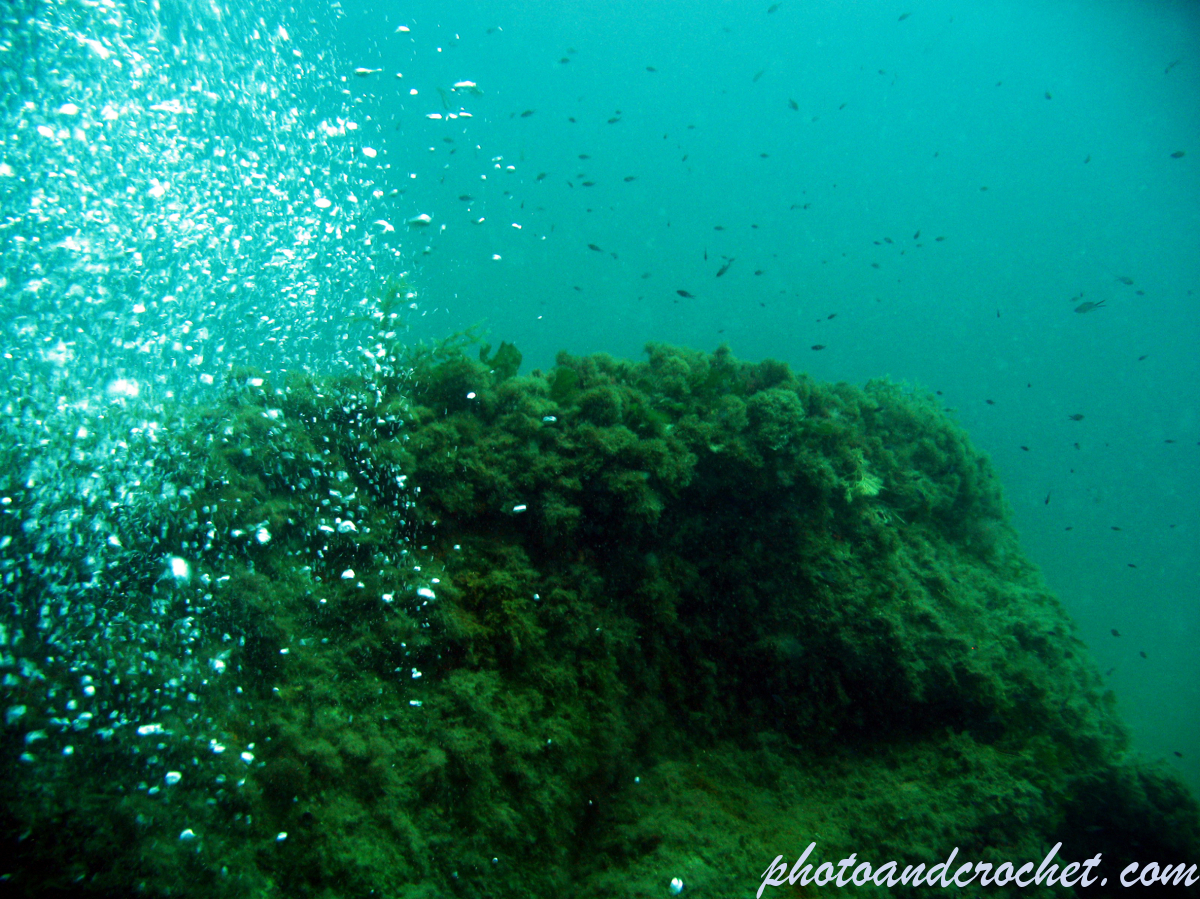 Tug St. Michael - Image